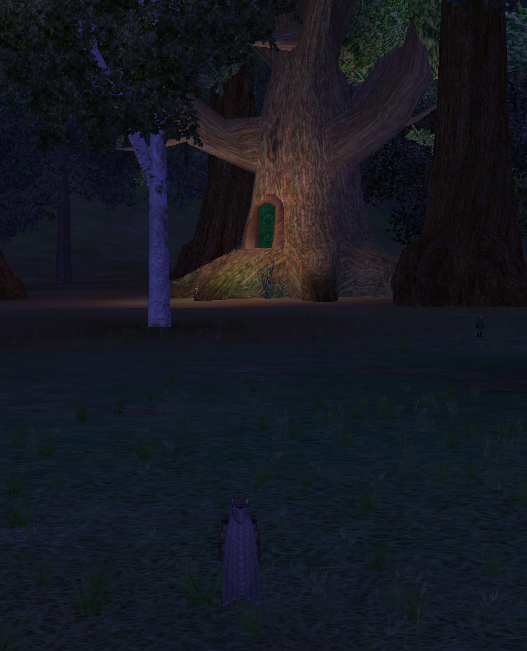 Big Tree for Canach